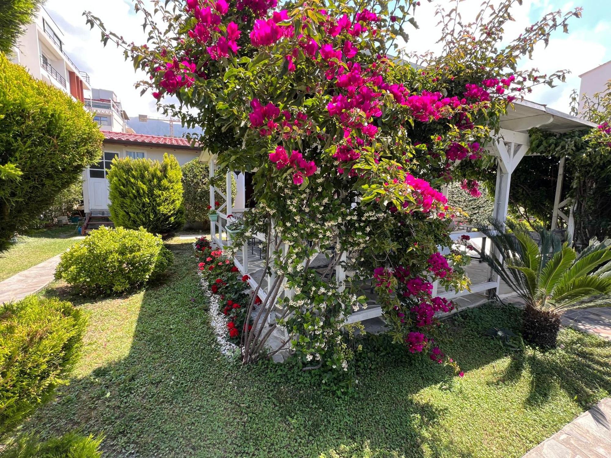 Nili Hotel Vlorë Exterior foto